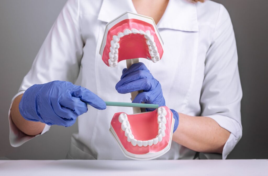 A dentist shows exactly where the wisdom teeth come in and how that may affect their patient's mouth.